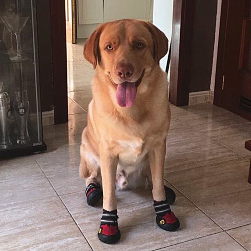 SPORT DOG SHOES FOR PET - 7-webdev-deshaun-mckoy