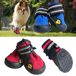 SPORT DOG SHOES FOR PET - 7-webdev-deshaun-mckoy