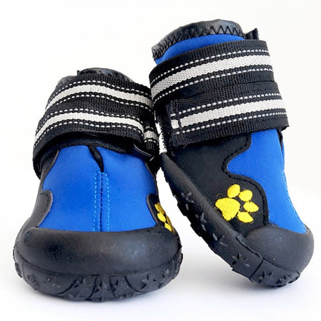 SPORT DOG SHOES FOR PET - 7-webdev-deshaun-mckoy