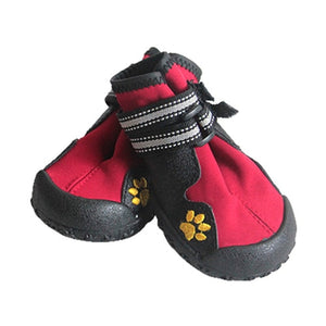 SPORT DOG SHOES FOR PET - 7-webdev-deshaun-mckoy